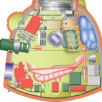 7K-OK Interior